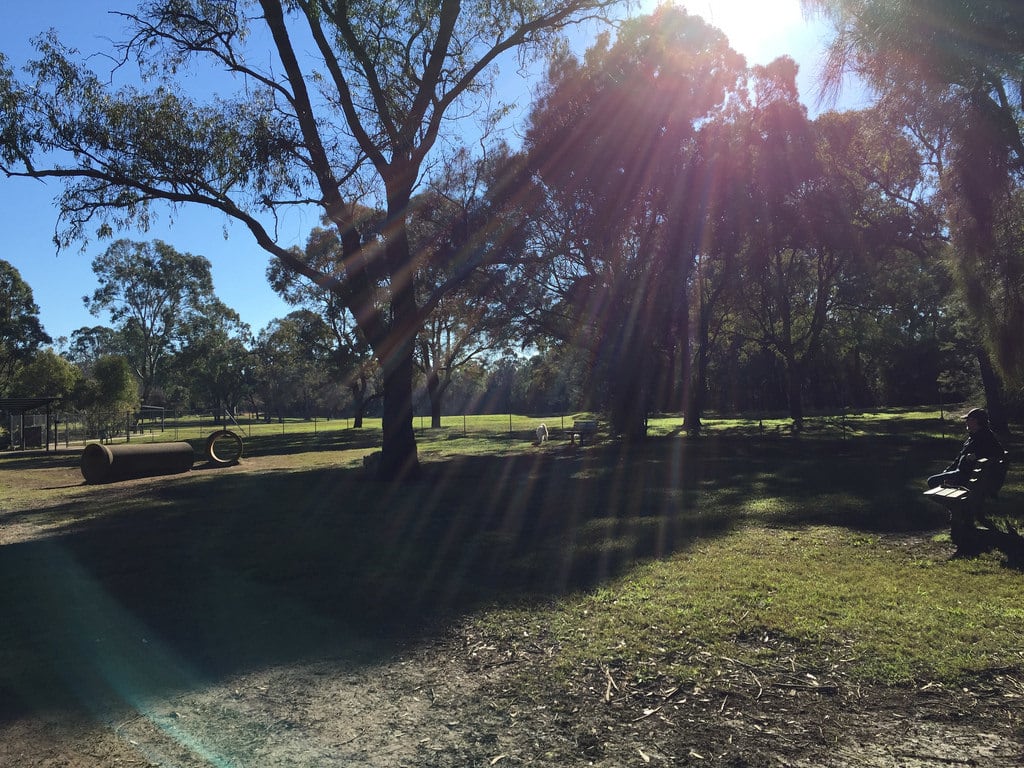 Incoming Pod / Red Wolf