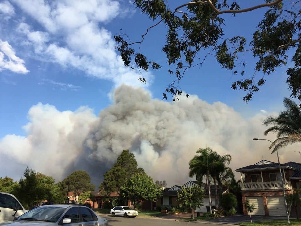 Bushfire / Red Wolf