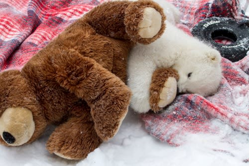 Kali and Friend / Alaska Zoo