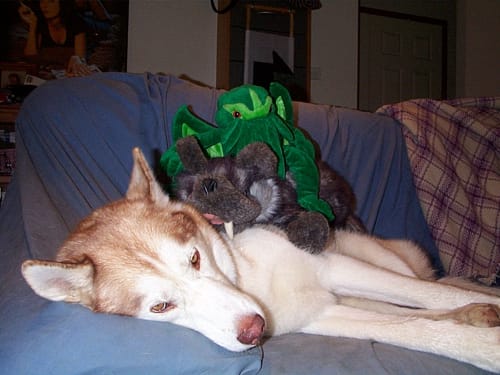 20031129_TonkaWolfCthulhu02
