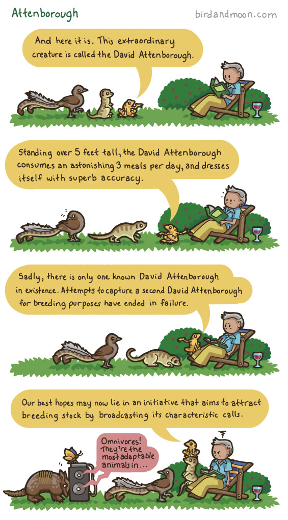 Attenborough / bird and moon