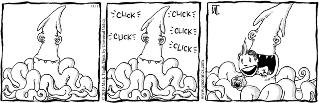 Internal Squid Photography / Mark Tatulli
