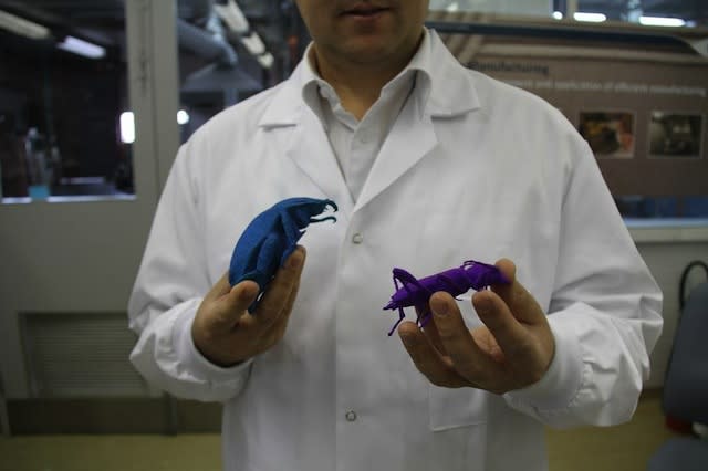 Giant Titanium Bugs / CSIRO