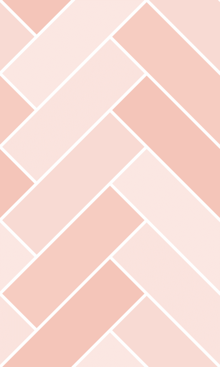 Geometric Pattern: Herringbone Alt: Antique / Red Wolf