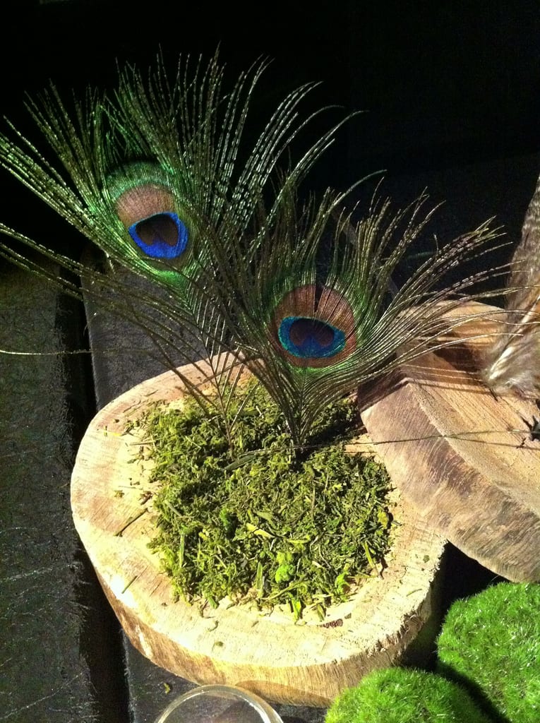 Deltone House Light / Red Wolf