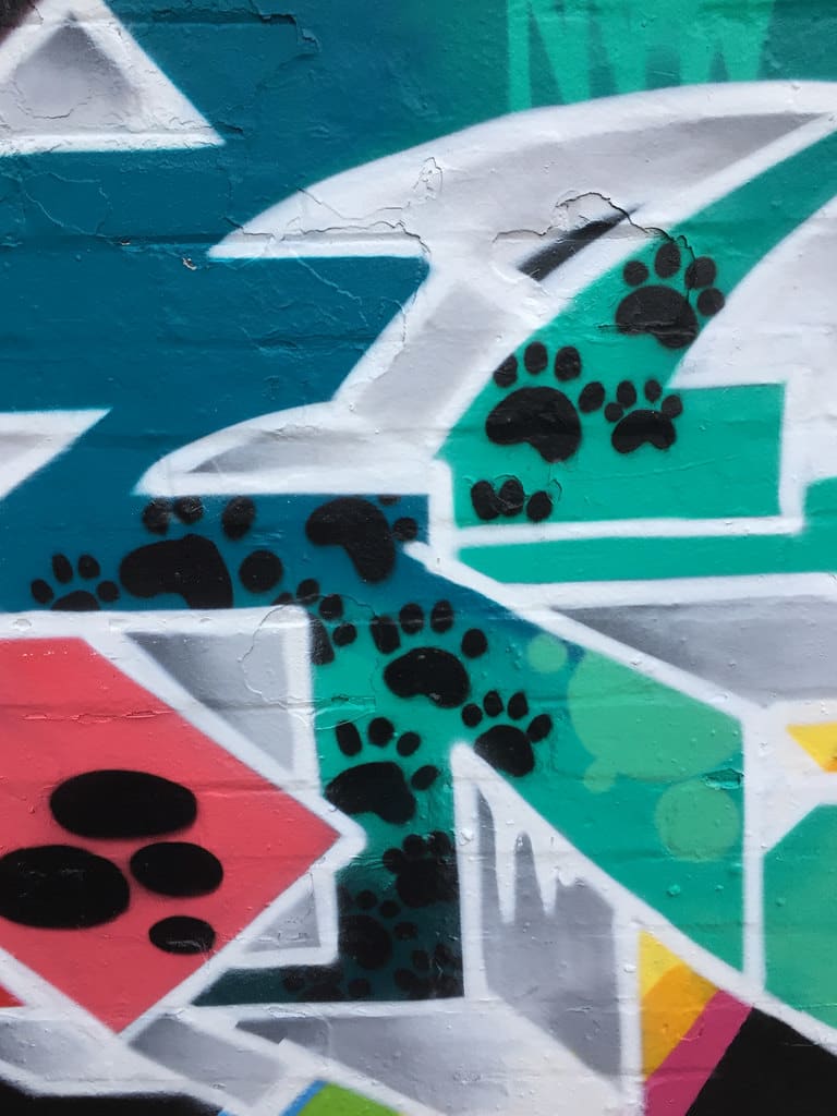 Crazee Cats Graffiti: Detail / Red Wolf