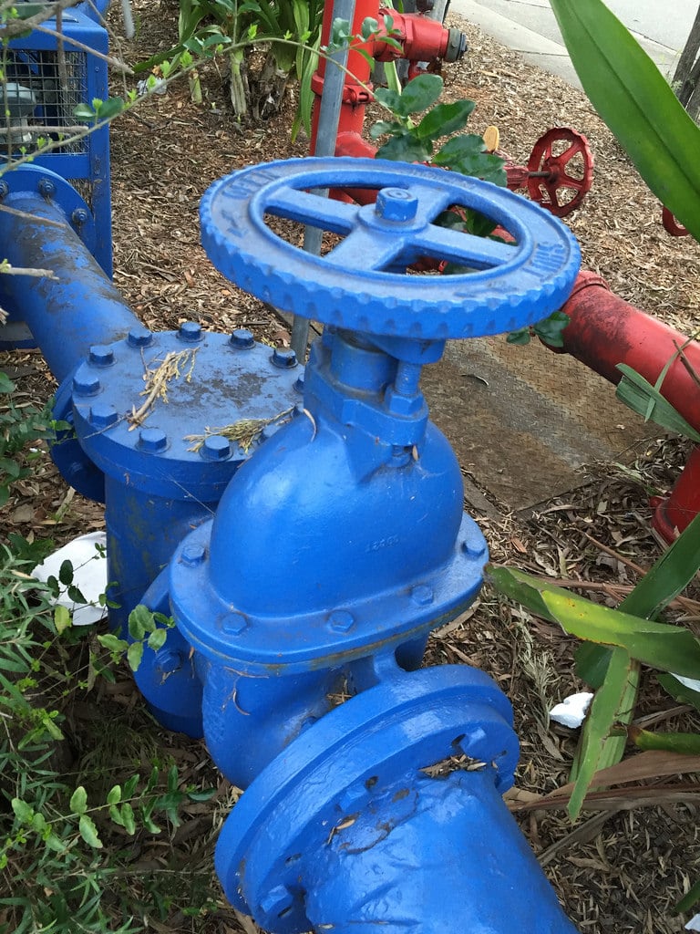 Rex + Water Valve / Red Wolf