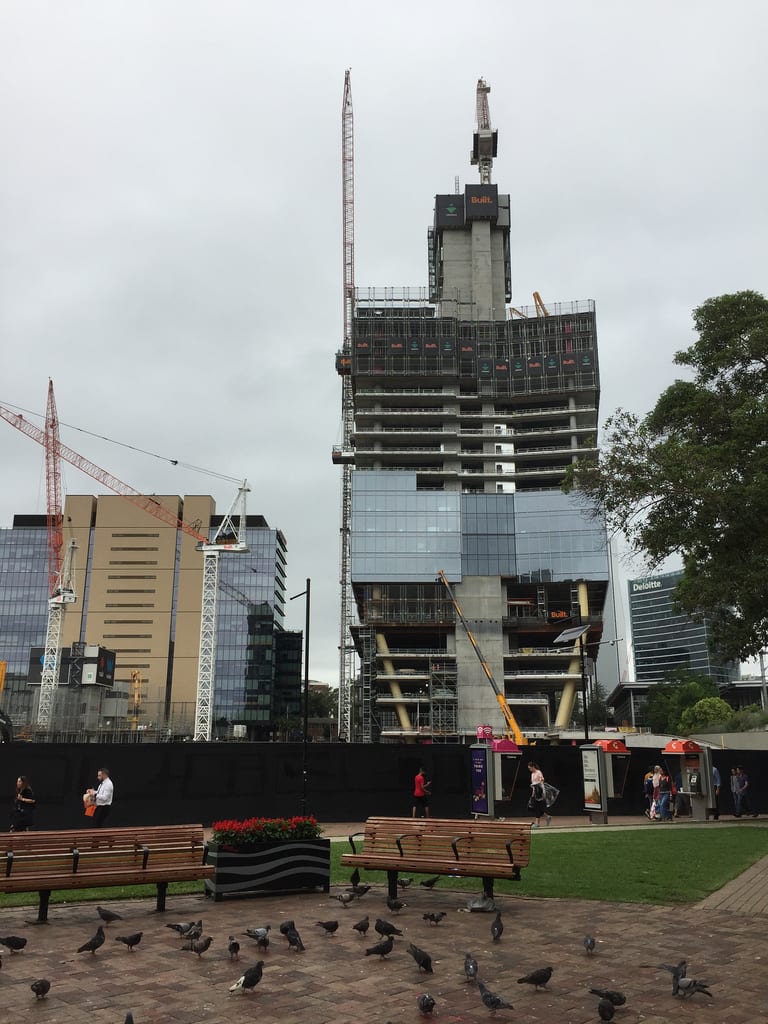 Random office elf / Red Wolf