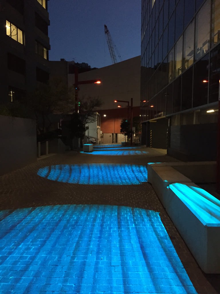 Fire Horse Lane lights / Red Wolf