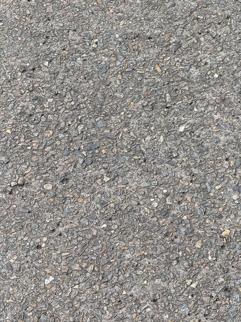 Pavement + Chinese tallow tree / Red Wolf