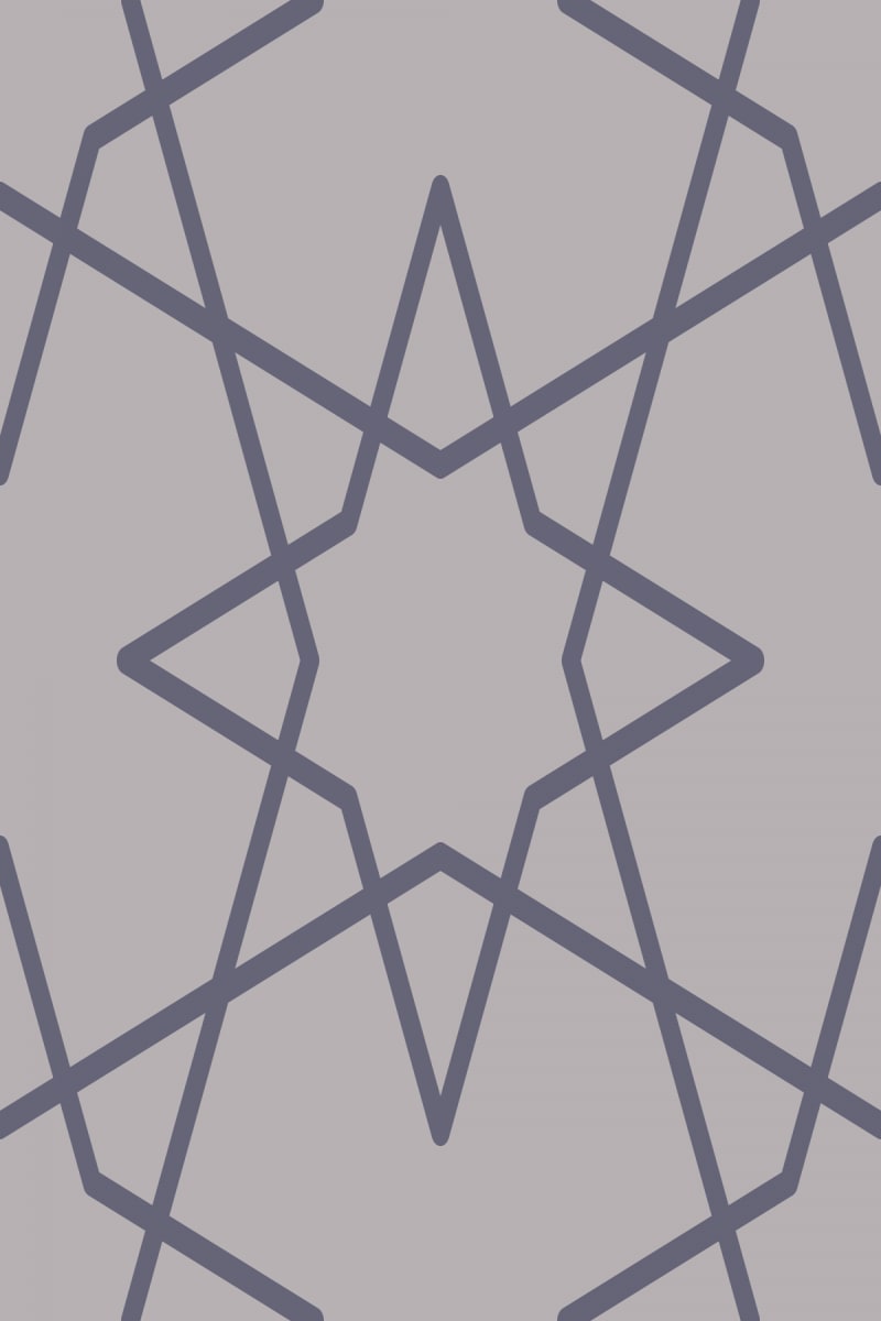 Geometric Pattern: Octagram: Duo / Red Wolf