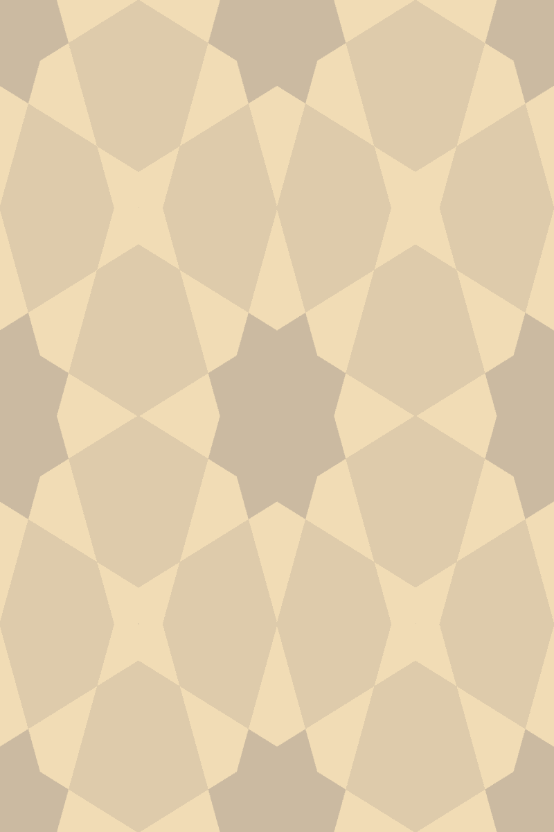 Geometric Pattern: Morocco: Antique / Red Wolf