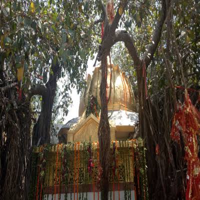 Chintpurni Temple View 3