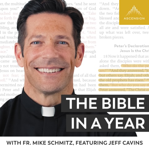 Podcast cover: The Bible in a Year