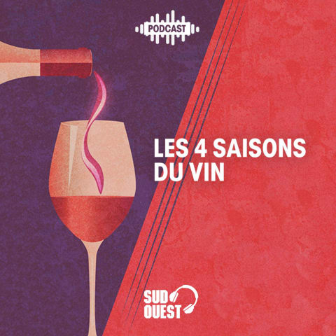 vignette du podcast : Les quatre saisons du vin