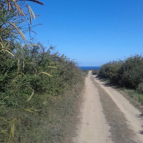 vignette du podcast : Chemins d&rsquo;Histoire