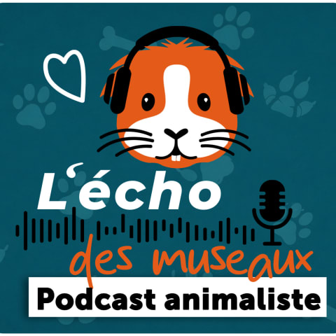 vignette du podcast : L&rsquo;écho des museaux