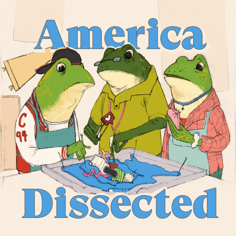 Podcast cover: America Dissected