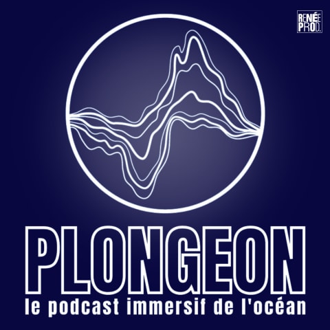 vignette du podcast : Plongeon