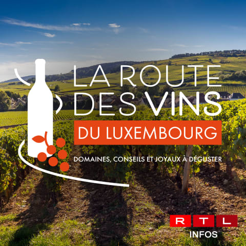 vignette du podcast : La Route des Vins du Luxembourg