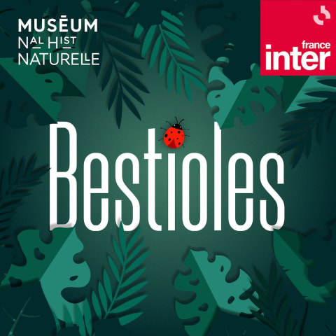 vignette du podcast : Bestioles