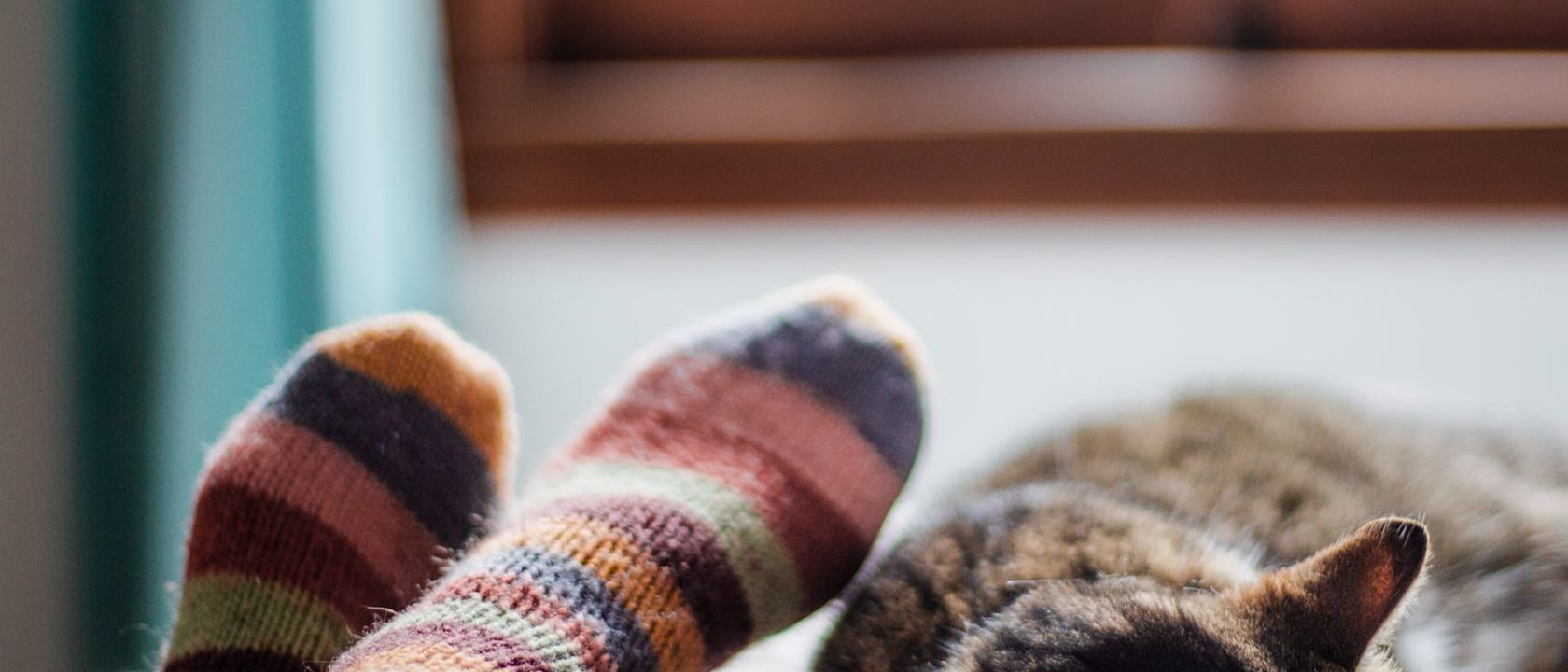 Header image