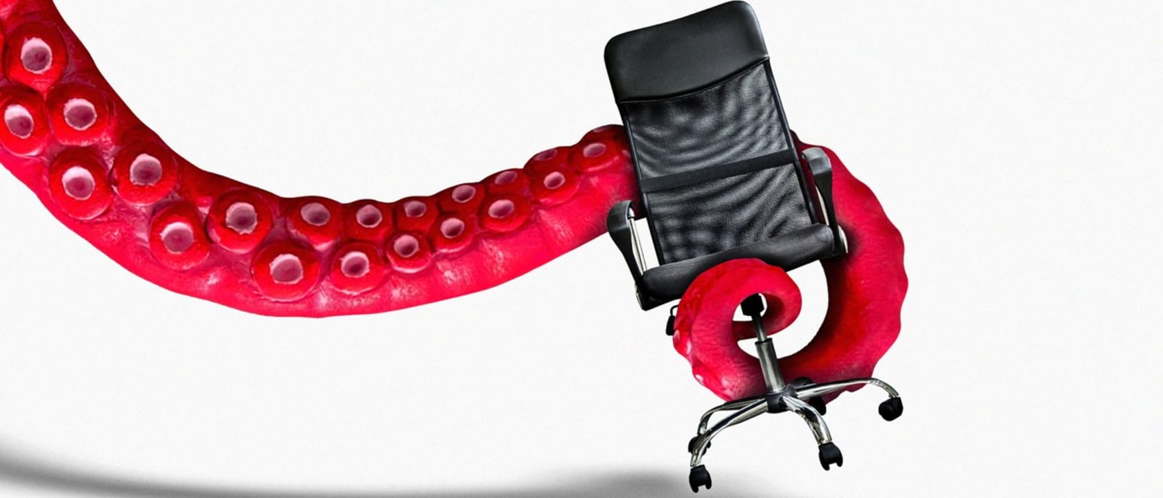 Header image