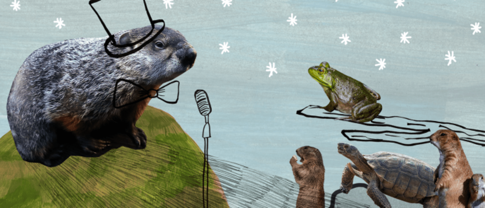 Header image