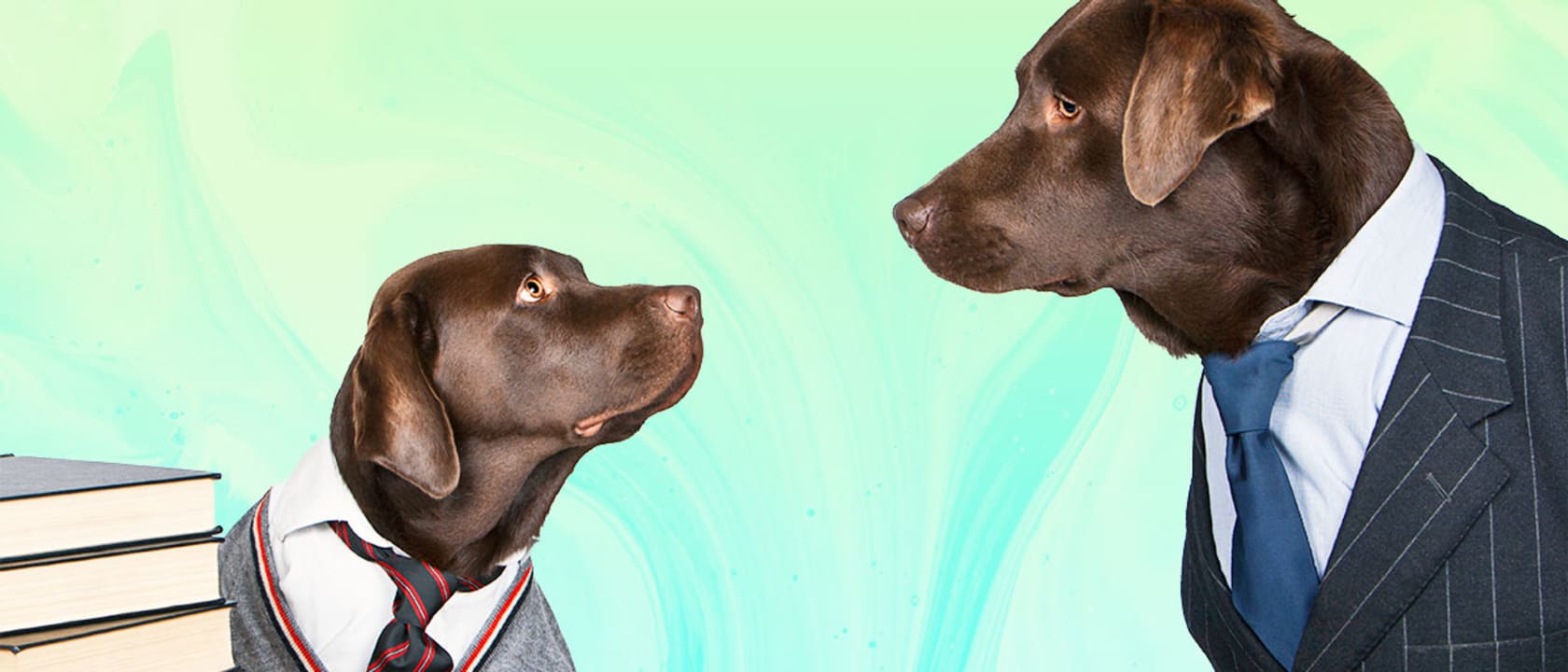 Header image
