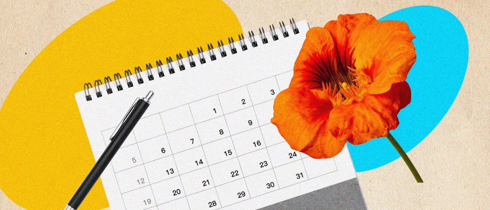 Header image