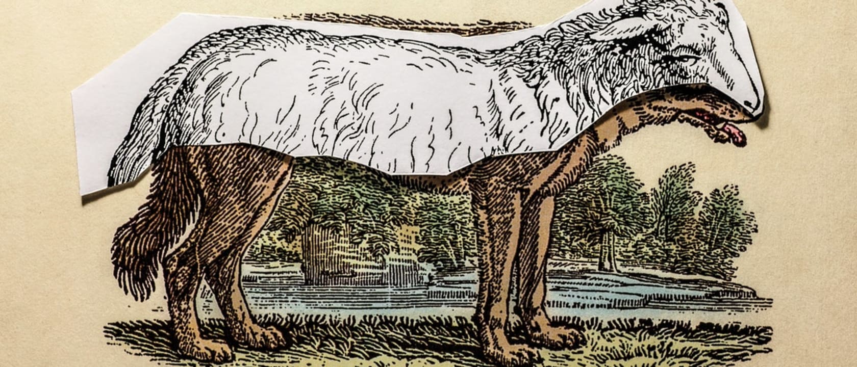Header image