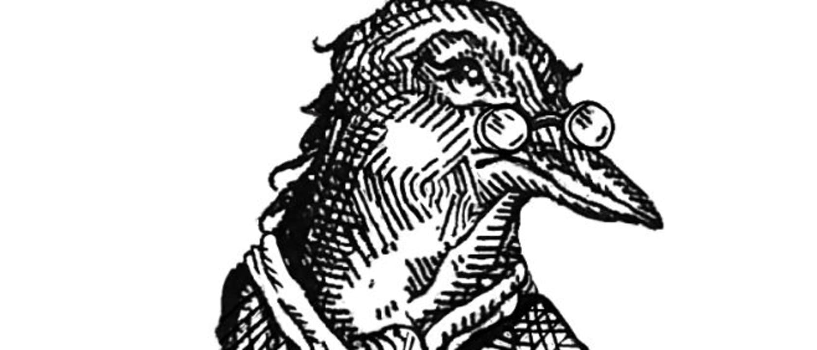 Header image