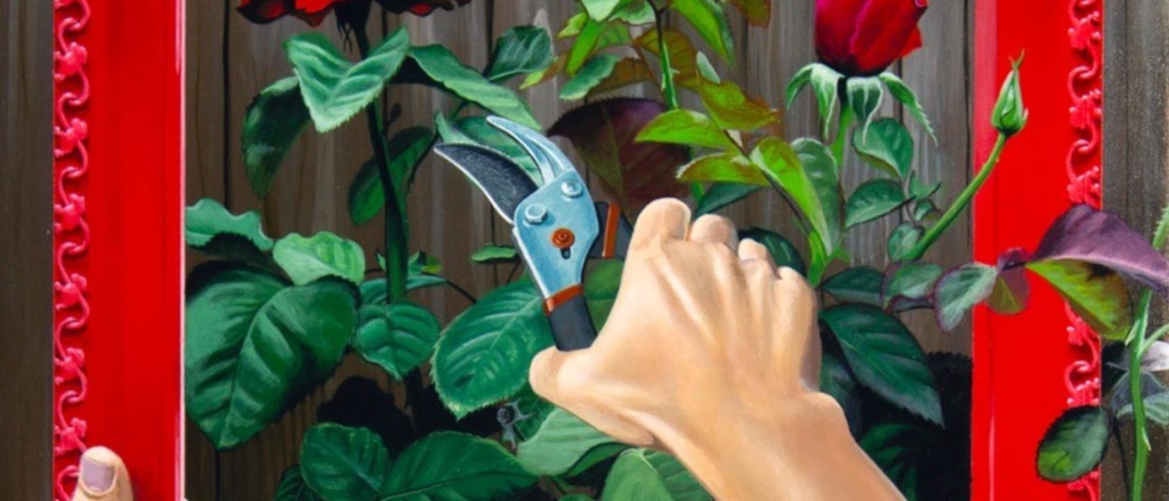Header image
