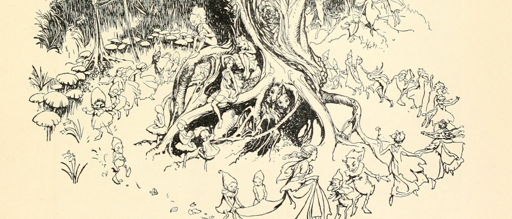 Header image