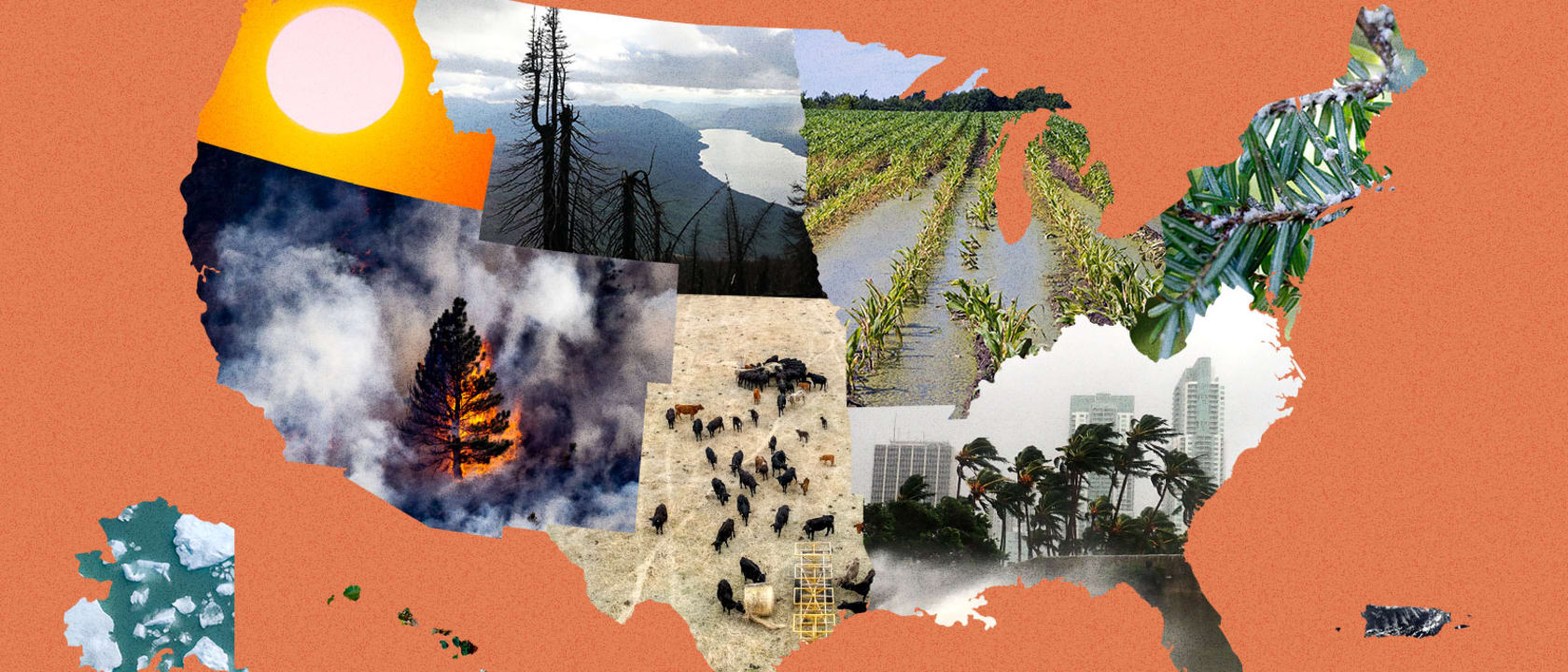 More Like How Does Climate Change Threaten Where You Live more-like-how-does-climate-change-threaten-where-you-live