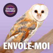 Envole-moi  : La chouette effraie (1/6)