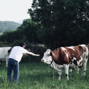 La Soifothèque, ép. 28 : Dernier épisode avant travaux