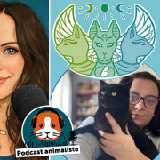 25. Bastet et les enfants au royaume des chats