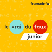 Nouveau-nés, compétitions sportives... Le vrai ou faux junior vérifie trois informations sur la canicule