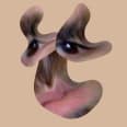 zach lieberman zach lieberman