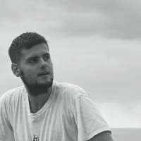 Марципановый гусь