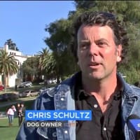 Chris Schultz ✈️