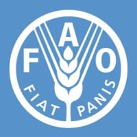 FAO FAO