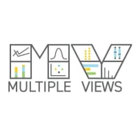 Multiple Views: Visualization Research Explained