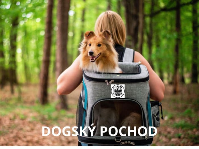 DOGSKÝ POCHOD  II.