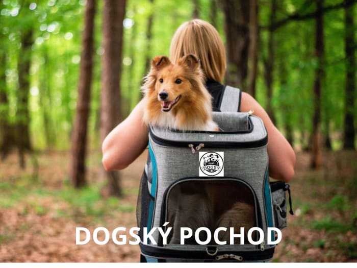 DOGSKÝ POCHOD