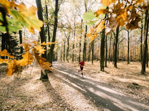 Klánovický 1/2Maraton 2026