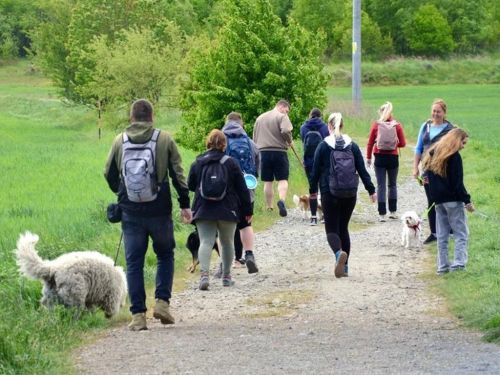 DOGSKÝ POCHOD V.