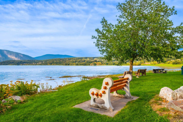 Salmon Arm