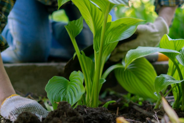 Experiential Therapy